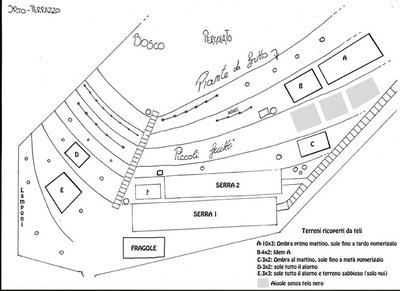 Orto-alto.jpg (64.64 KiB) Osservato 1012 volte Orto-alto.jpg