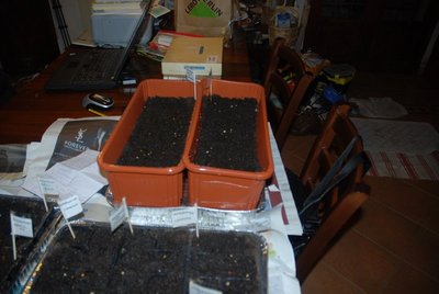 DSC_0022-1.JPG (78.74 KiB) Osservato 755 volte DSC_0022-1.JPG