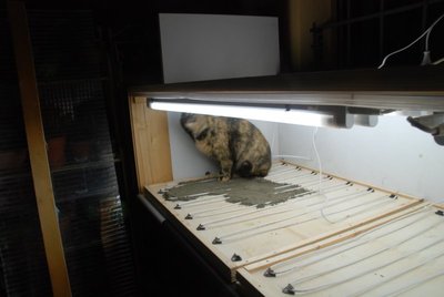 DSC_0035.JPG (61.26 KiB) Osservato 898 volte DSC_0035.JPG