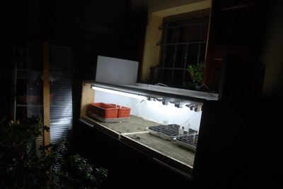 DSC_0050.JPG (59.3 KiB) Osservato 895 volte DSC_0050.JPG