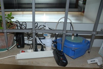 DSC_0062.JPG (79.36 KiB) Osservato 895 volte DSC_0062.JPG