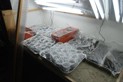 DSC_0067.JPG (86.87 KiB) Osservato 856 volte DSC_0067.JPG