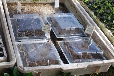 DSC_0113-1.JPG (127.04 KiB) Osservato 813 volte DSC_0113-1.JPG