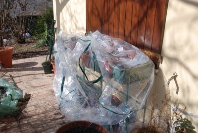 DSC_0062.JPG (116.14 KiB) Osservato 921 volte DSC_0062.JPG