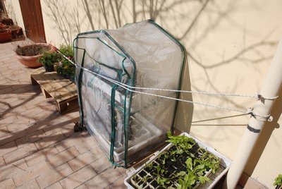 DSC_0058.JPG (104.43 KiB) Osservato 921 volte DSC_0058.JPG