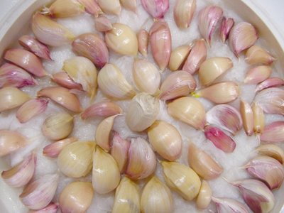 DSC00327.JPG (134.44 KiB) Osservato 927 volte DSC00327.JPG