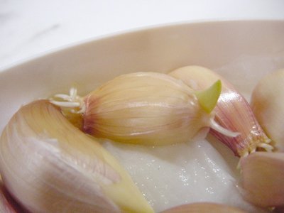 DSC00328.JPG (93.42 KiB) Osservato 927 volte DSC00328.JPG