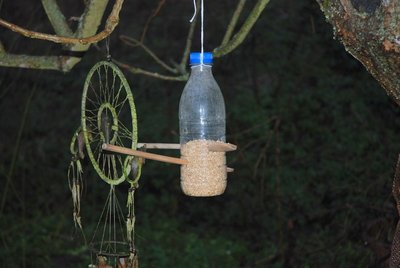 DSC_0208.JPG (72.03 KiB) Osservato 866 volte DSC_0208.JPG