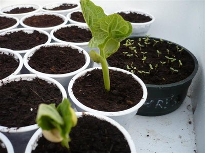 P1050382.JPG (78.97 KiB) Osservato 1056 volte P1050382.JPG