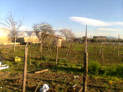 Immag023.jpg (70.92 KiB) Osservato 1013 volte Immag023.jpg