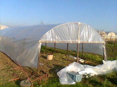 Immag045.jpg (51.67 KiB) Osservato 1013 volte Immag045.jpg