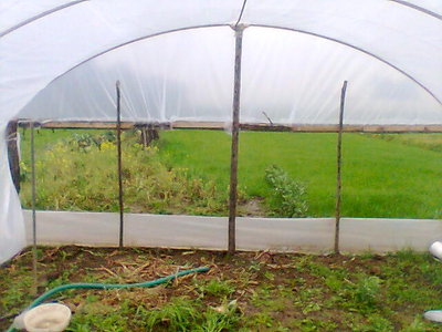 Immag076.jpg (55.76 KiB) Osservato 1013 volte Immag076.jpg