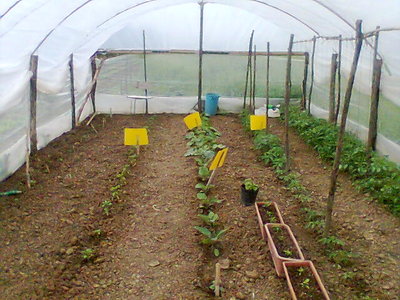 Immag319.jpg (75.92 KiB) Osservato 1013 volte Immag319.jpg