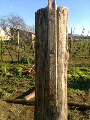 Immag022.jpg (85.25 KiB) Osservato 1089 volte Immag022.jpg