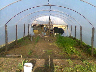 Immag048.jpg (58.95 KiB) Osservato 1089 volte Immag048.jpg