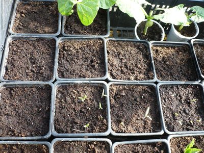 P1050401.JPG (162.01 KiB) Osservato 1060 volte P1050401.JPG