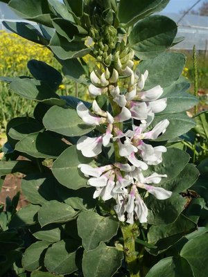 P1050405.JPG (91.65 KiB) Osservato 1060 volte P1050405.JPG