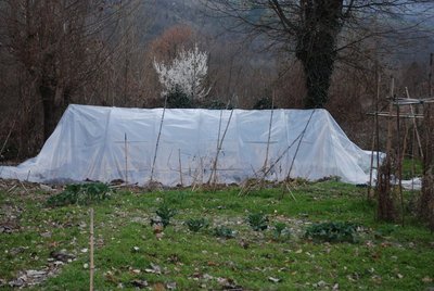 fserra est.JPG (126.66 KiB) Osservato 954 volte fserra est.JPG