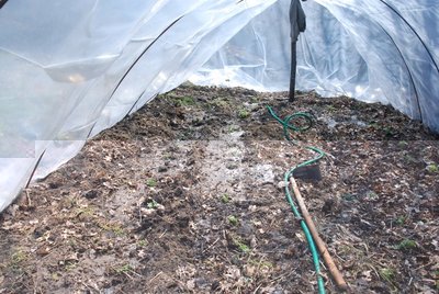 fserra int.JPG (158.78 KiB) Osservato 954 volte fserra int.JPG