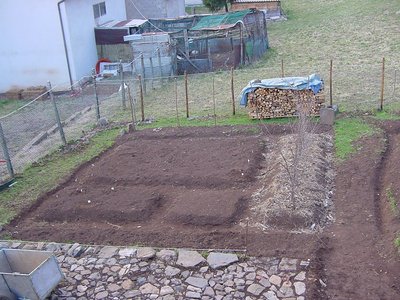 orto ovest.JPG (292.82 KiB) Osservato 967 volte orto ovest.JPG