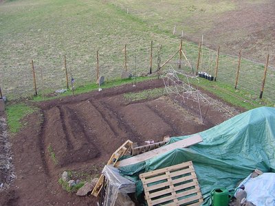 ortoest.JPG (287.84 KiB) Osservato 967 volte ortoest.JPG