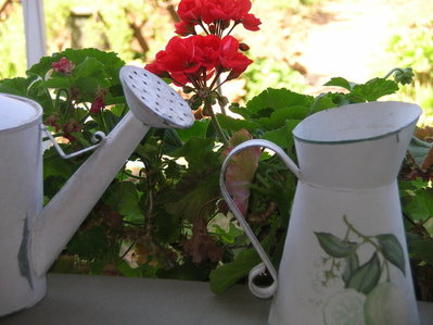 10.jpg (99.06 KiB) Osservato 986 volte 10.jpg