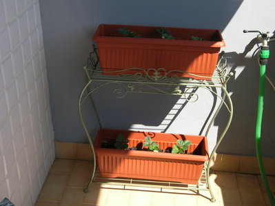 15.jpg (86.71 KiB) Osservato 986 volte 15.jpg