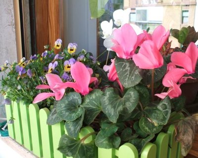 davanzale.JPG (60.03 KiB) Osservato 837 volte davanzale.JPG