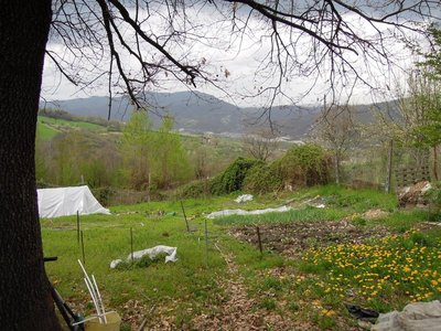 aorto.JPG (179.14 KiB) Osservato 814 volte aorto.JPG