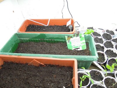 DSCN8773.JPG (119.29 KiB) Osservato 814 volte DSCN8773.JPG