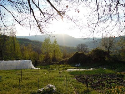 1DSCN8941.JPG (163.91 KiB) Osservato 757 volte 1DSCN8941.JPG