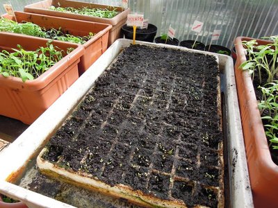 DSCN8882.JPG (177.79 KiB) Osservato 757 volte DSCN8882.JPG