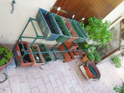 DSCN8946.JPG (121.14 KiB) Osservato 757 volte DSCN8946.JPG