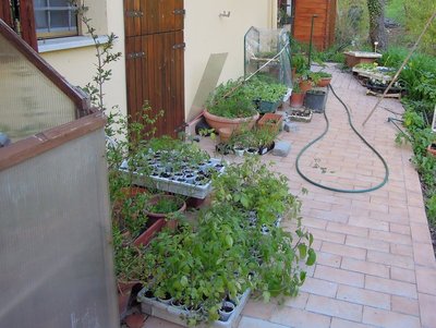 DSCN8947.JPG (135.38 KiB) Osservato 758 volte DSCN8947.JPG