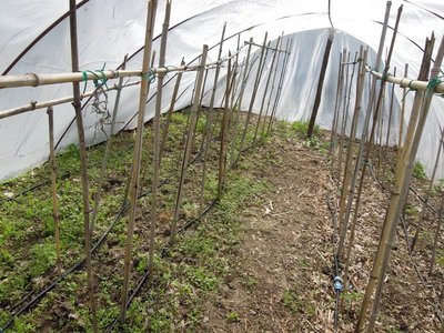 tunnel.JPG (188.49 KiB) Osservato 952 volte tunnel.JPG