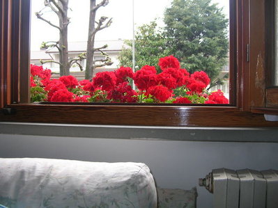 2d.jpg (56.24 KiB) Osservato 933 volte 2d.jpg