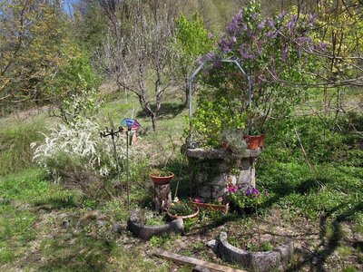 DSCN9079.JPG (230.12 KiB) Osservato 880 volte DSCN9079.JPG