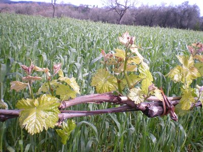 DSCN9417.JPG (280.14 KiB) Osservato 973 volte DSCN9417.JPG