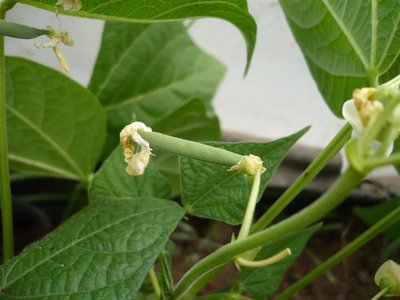 P1050997.JPG (57.23 KiB) Osservato 949 volte P1050997.JPG