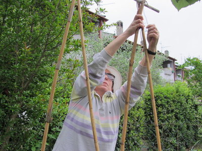 orto4.jpg (119.24 KiB) Osservato 880 volte orto4.jpg