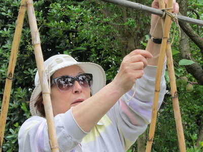 foto5.jpg (107.49 KiB) Osservato 832 volte foto5.jpg