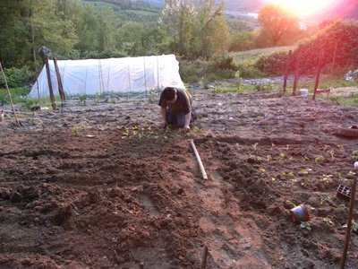 DSCN2102.JPG (152.73 KiB) Osservato 756 volte DSCN2102.JPG