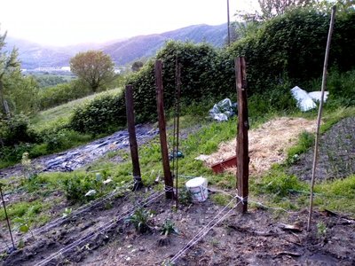 DSCN2110.JPG (181.01 KiB) Osservato 756 volte DSCN2110.JPG