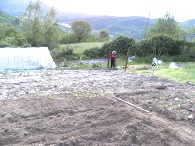 2DSCN2120.JPG (107.47 KiB) Osservato 752 volte 2DSCN2120.JPG