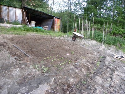 3DSCN2113.JPG (166.16 KiB) Osservato 752 volte 3DSCN2113.JPG