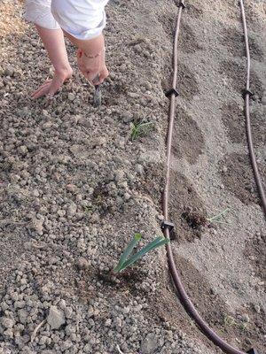 DSC01854.JPG (199.3 KiB) Osservato 1900 volte DSC01854.JPG