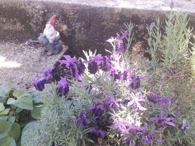 P080512_11.48.jpg (266.51 KiB) Osservato 761 volte P080512_11.48.jpg