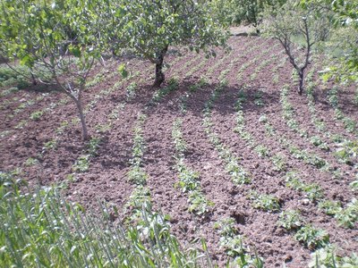 DSCN9459.JPG (384.53 KiB) Osservato 918 volte DSCN9459.JPG