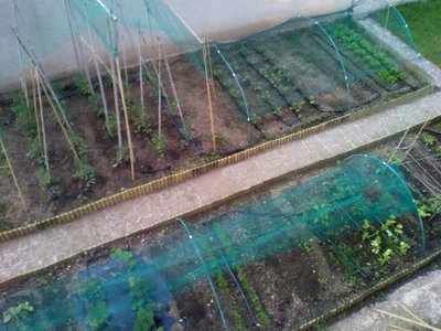 10maggio.jpg (136.49 KiB) Osservato 885 volte 10maggio.jpg