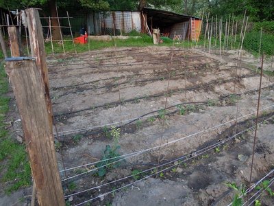 tubini.JPG (163.34 KiB) Osservato 787 volte tubini.JPG